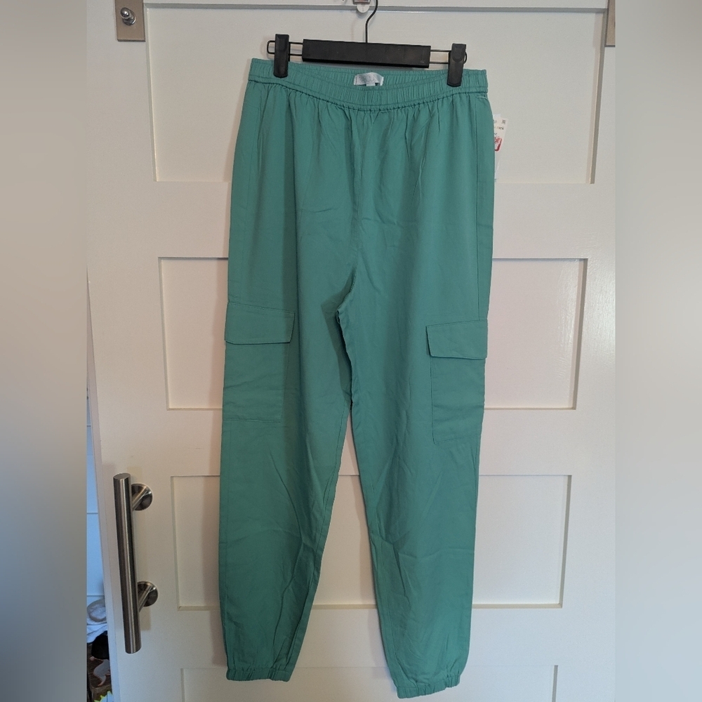 NWT. Abound cargo jogger pants. Teal cargo pants with elastic waist.